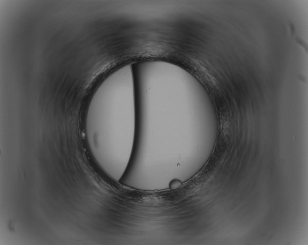 X0000093580591200710150959