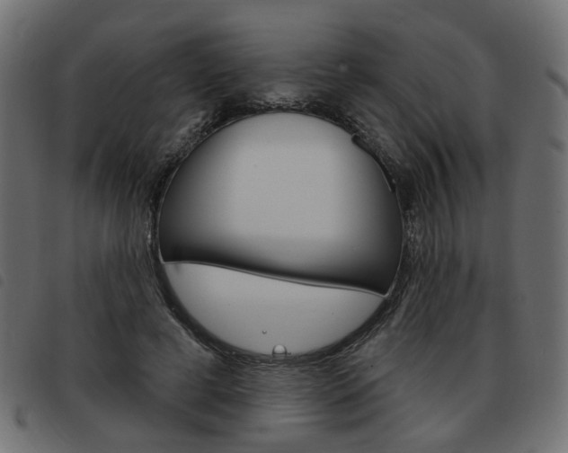 X0000093580593200710150959