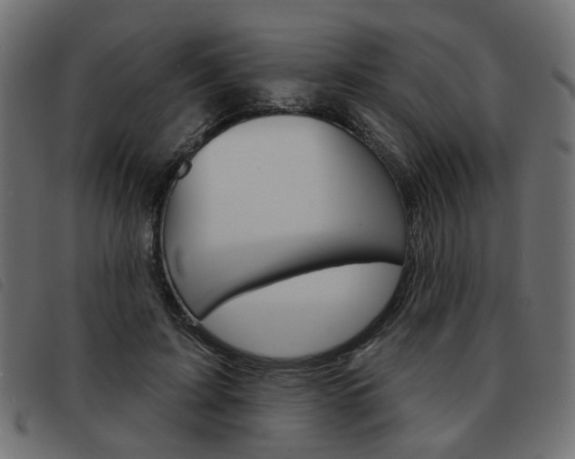 X0000093580595200710150959