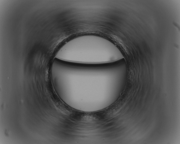 X0000093580596200710150959