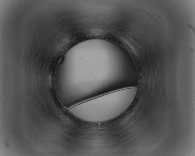 X0000093580597200710150959