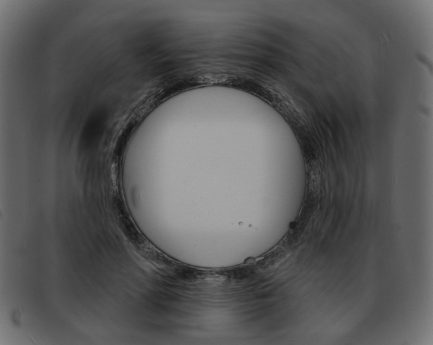 X0000093580598200710150959