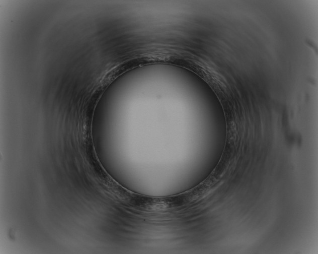 X0000093580600200710150959
