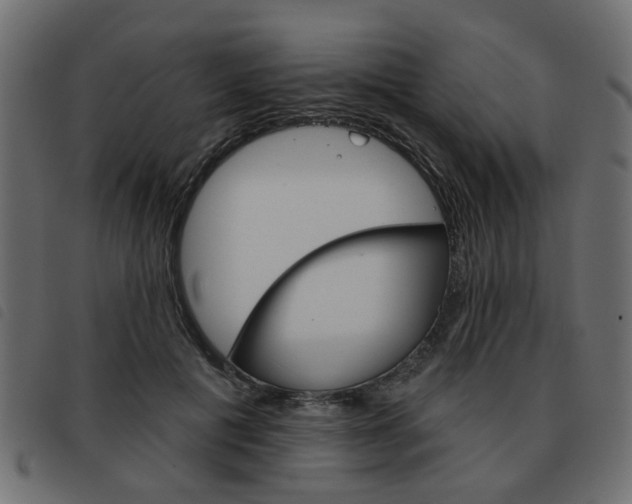 X0000093580601200710150959