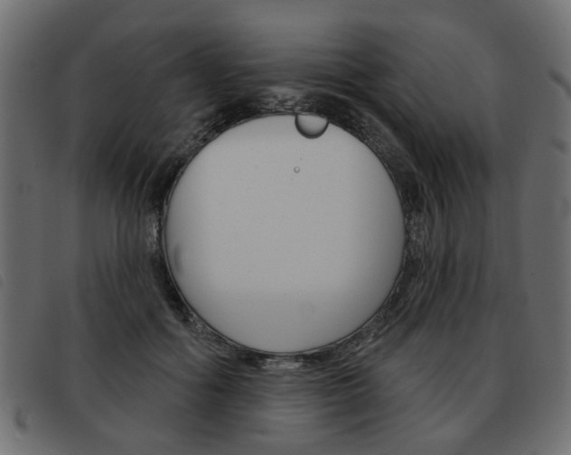 X0000093580602200710150959