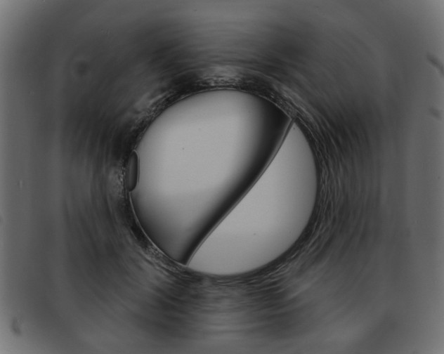 X0000093580604200710150959