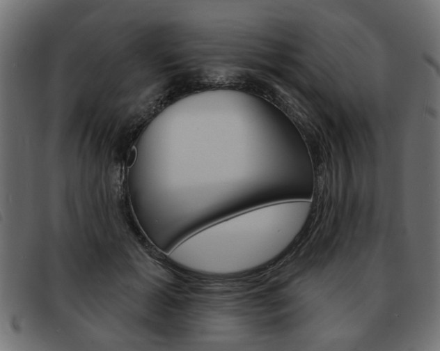 X0000093580605200710150959