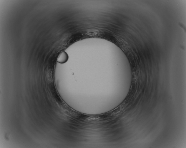 X0000093580606200710150959