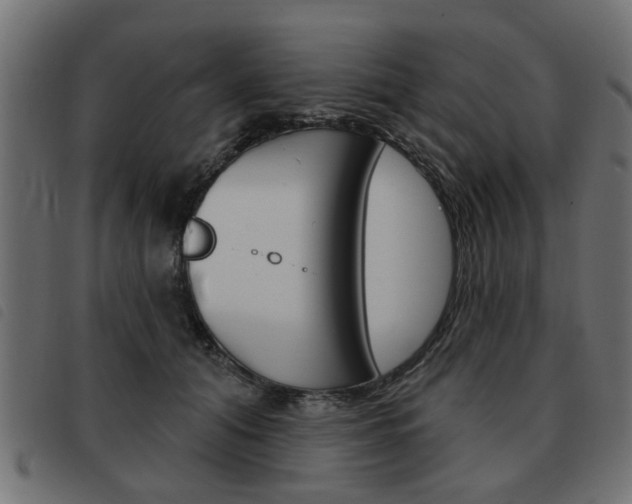 X0000093580608200710150959