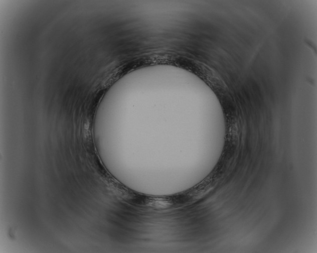 X0000093580610200710150959