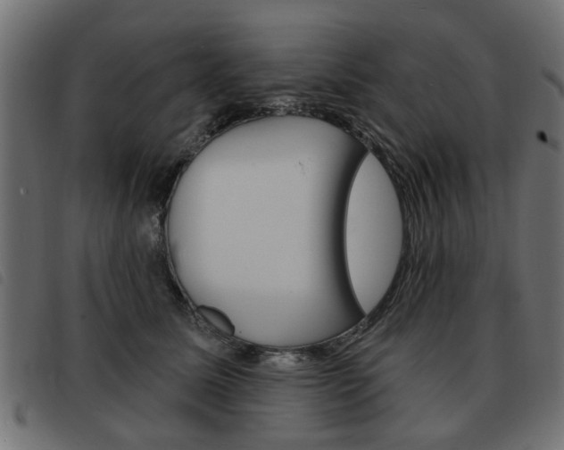 X0000093580611200710150959