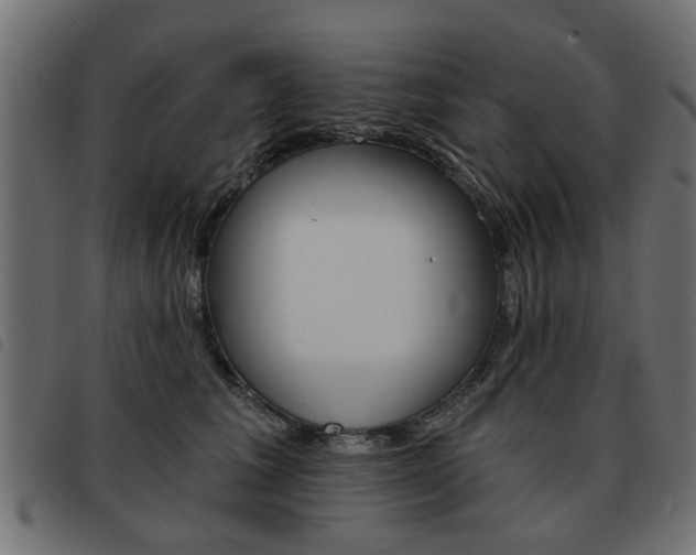 X0000093580613200710150959