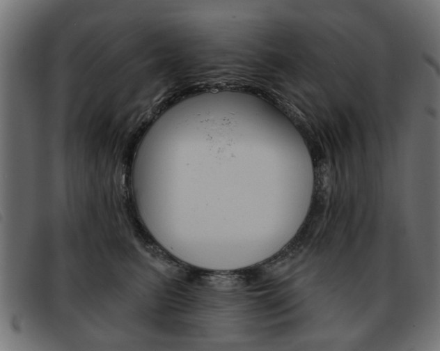 X0000093580615200710150959