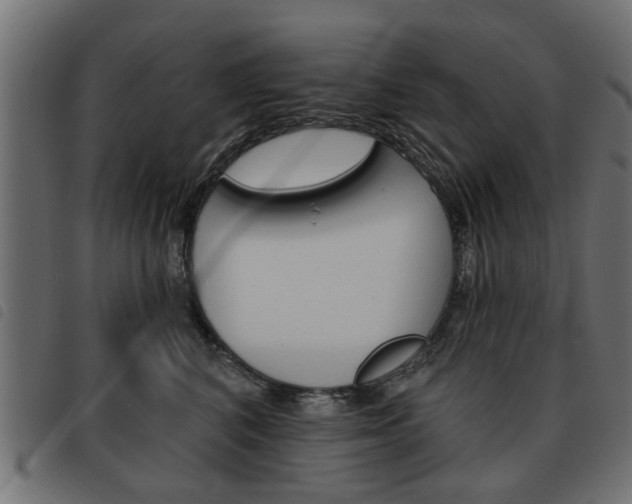 X0000093580616200710150959