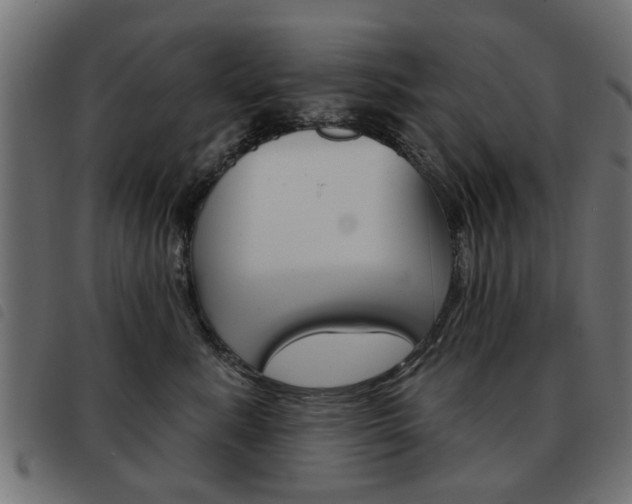 X0000093580619200710150959