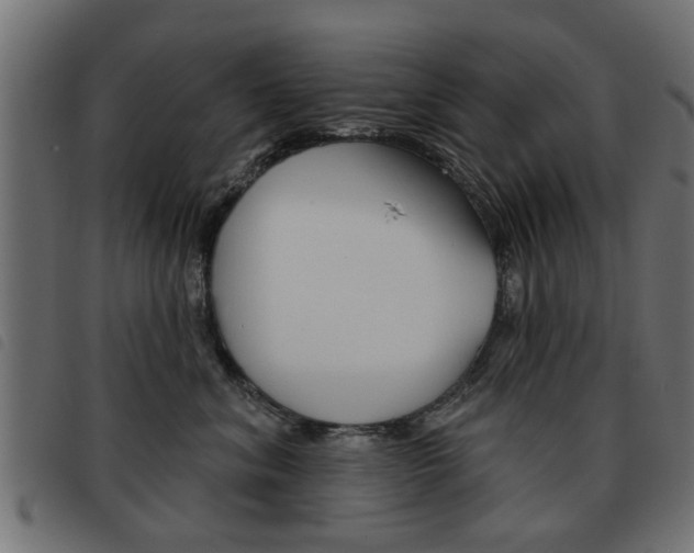 X0000093580620200710150958