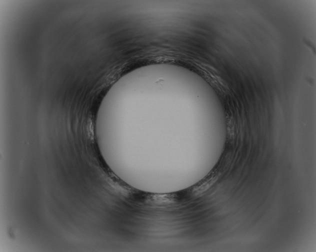 X0000093580622200710150958