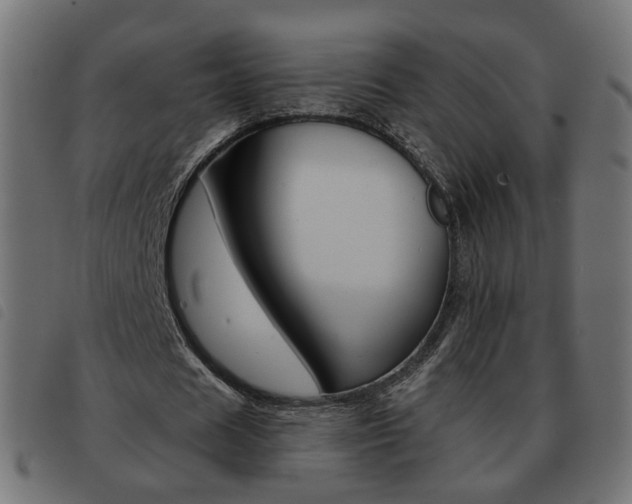 X0000093580625200710150958