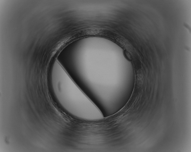 X0000093580626200710150958
