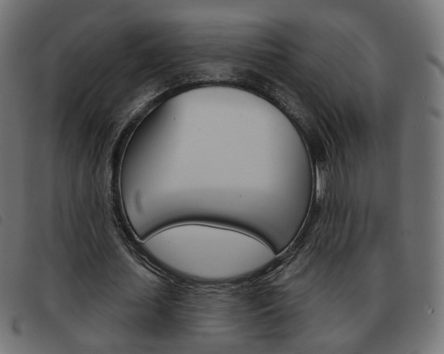 X0000093580627200710150958