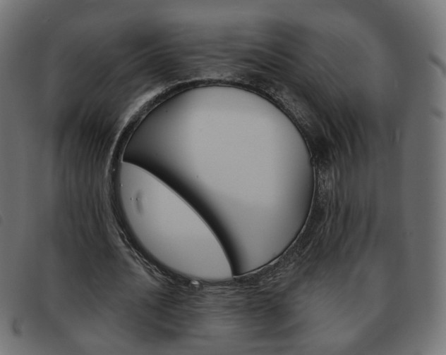 X0000093580628200710150958