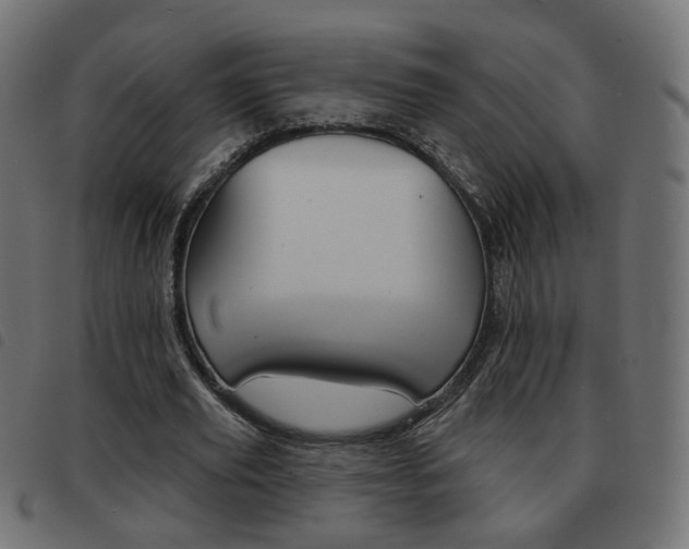 X0000093580629200710150958
