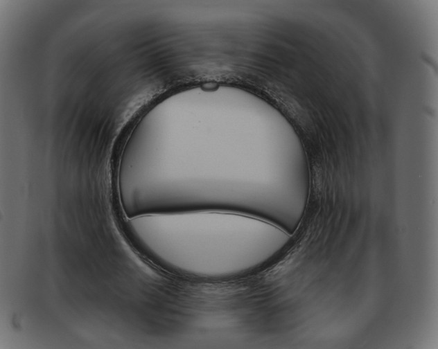 X0000093580630200710150958