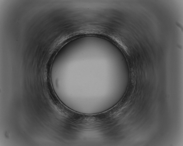 X0000093580631200710150958