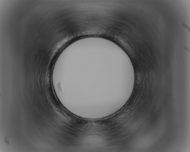 X0000093580632200710150958