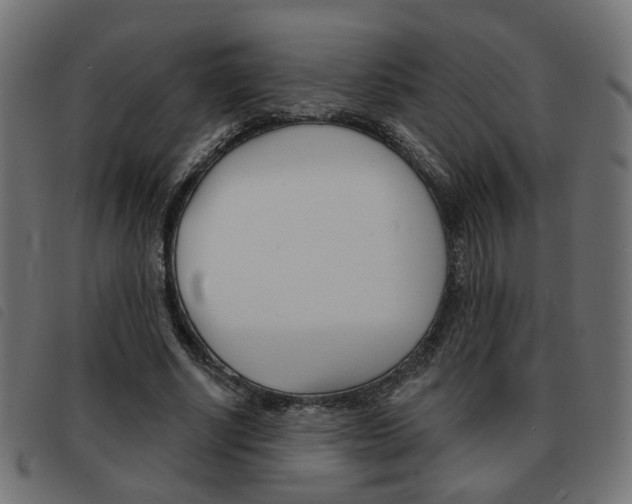 X0000093580634200710150958