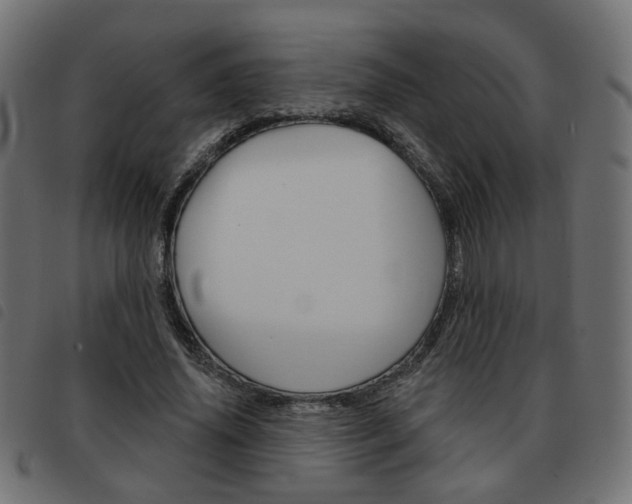 X0000093580636200710150958