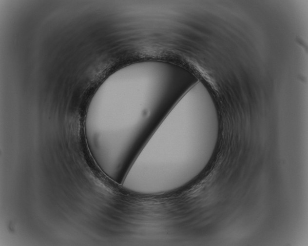 X0000093580637200710150958