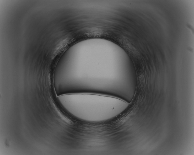 X0000093580638200710150958
