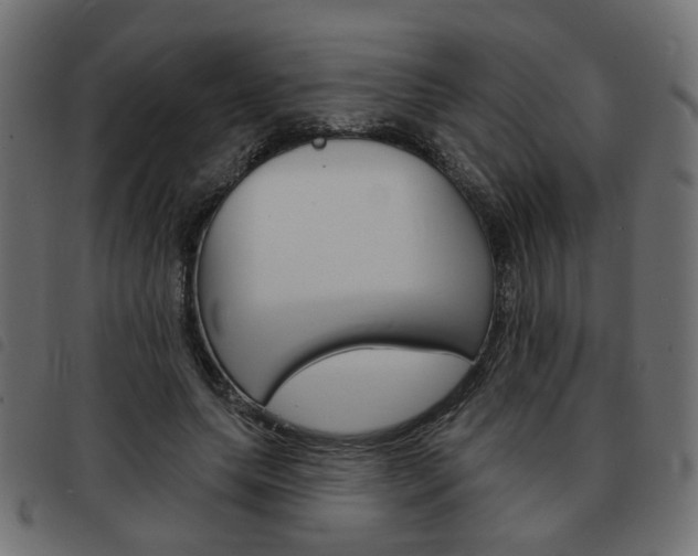 X0000093580639200710150958