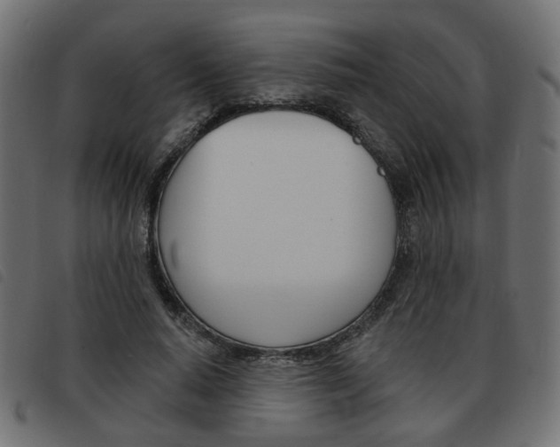 X0000093580640200710150958