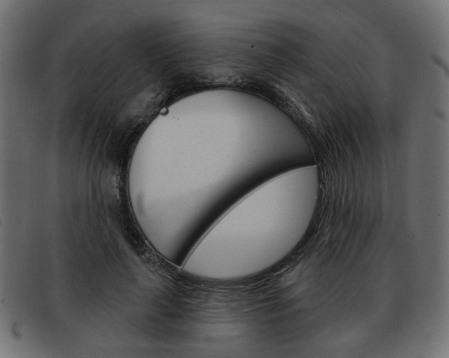 X0000093580643200710150958