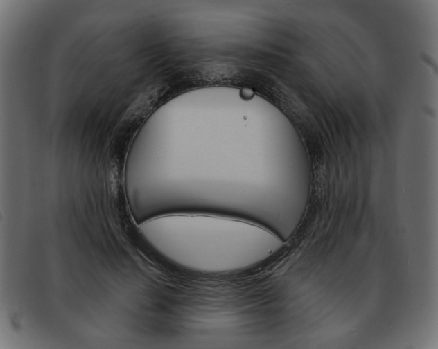 X0000093580644200710150958