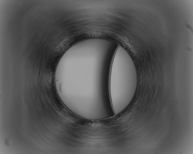 X0000093580645200710150958