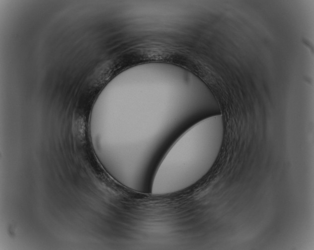 X0000093580646200710150958