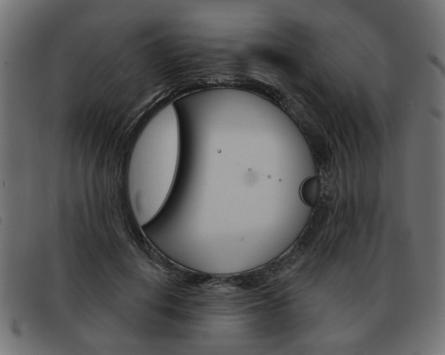 X0000093580648200710150958