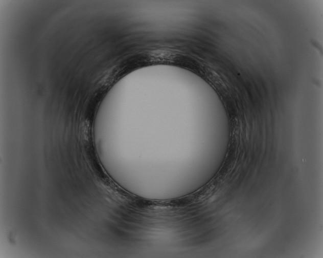 X0000093580649200710150958