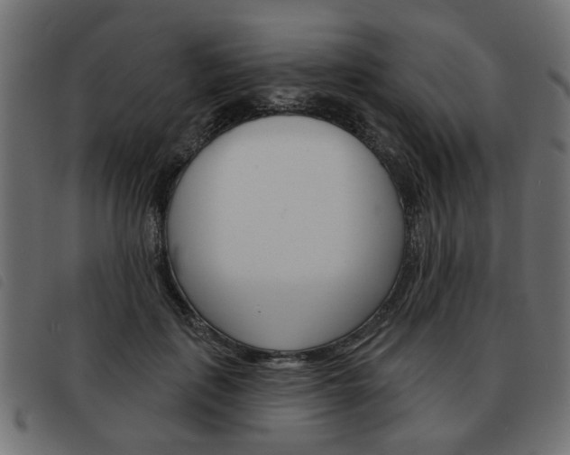 X0000093580651200710150958