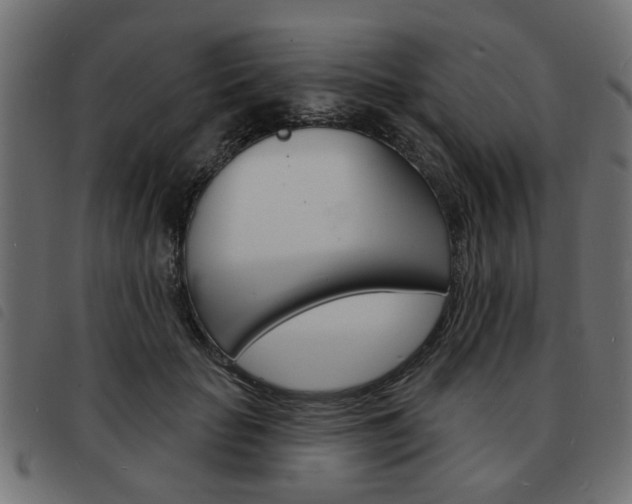 X0000093580653200710150958