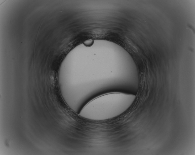 X0000093580655200710150958