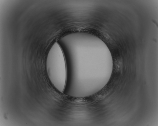 X0000093580657200710150958
