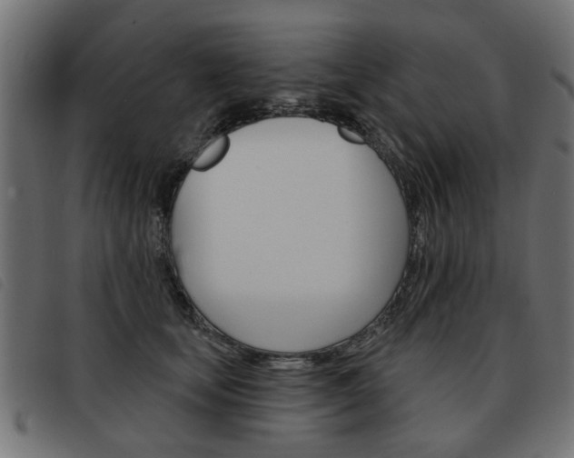 X0000093580659200710150958