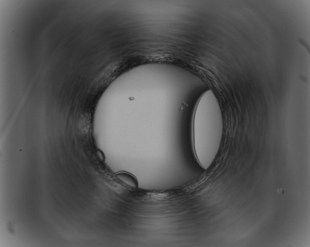 X0000093580665200710150958