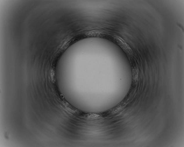 X0000093580669200710150958