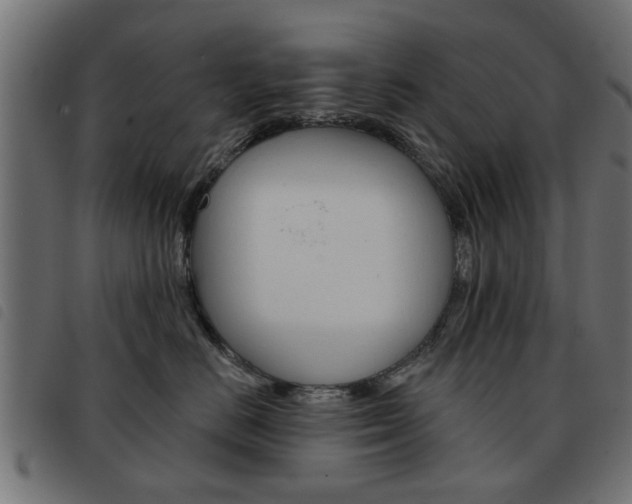 X0000093580670200710150958