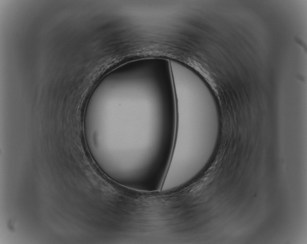 X0000093580673200710150958